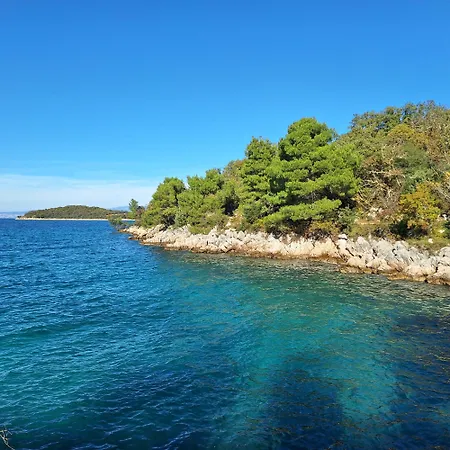 White * 반타치치