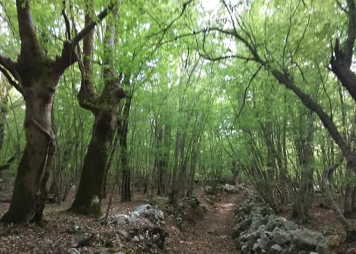 Appartamento White Vantacici