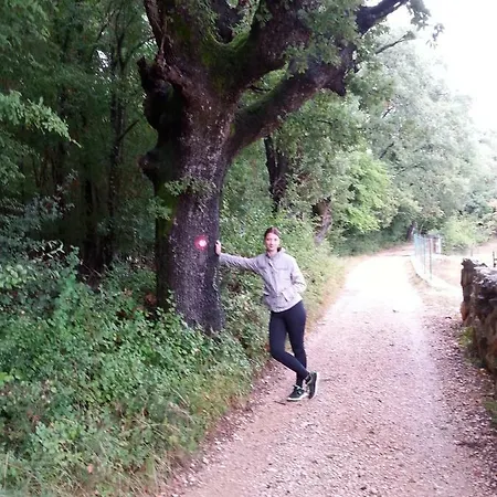 White Lejlighed Vantacici