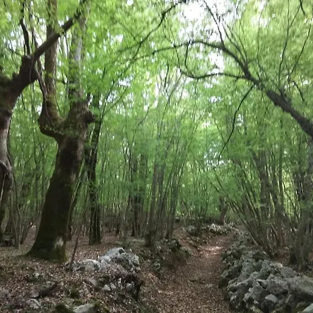 Apartment White Vantacici